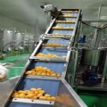 Orange Juice Process Line